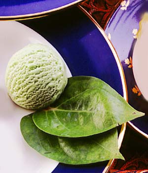 Paan Icecream recipe at PakiRecipes