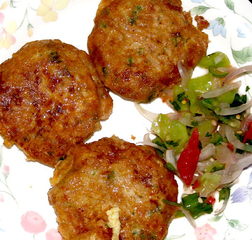 Shami Kabab recipe at PakiRecipes