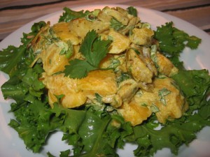 Curried Chicken And Yogurt Salad at PakiRecipes.com